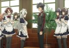 En İyi 30 Harem Anime Önerisi! Kesin İzle!