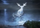 Patronus Testi! Hangi Patronus Hayvanın Olurdu? Harry Potter
