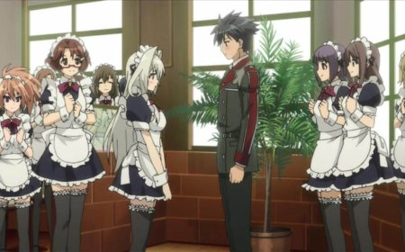 En İyi 30 Harem Anime Önerisi! Kesin İzle!